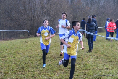 Clicca per vedere l'immagine alla massima grandezza