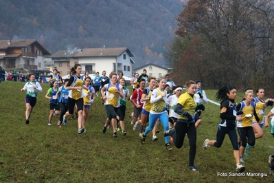 Clicca per vedere l'immagine alla massima grandezza