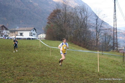 Clicca per vedere l'immagine alla massima grandezza