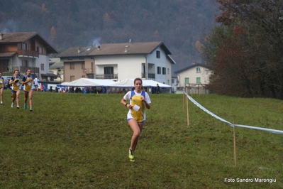 Clicca per vedere l'immagine alla massima grandezza