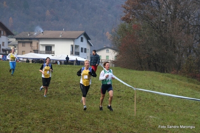 Clicca per vedere l'immagine alla massima grandezza