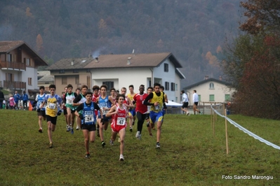 Clicca per vedere l'immagine alla massima grandezza