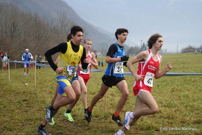 Clicca per vedere l'immagine alla massima grandezza