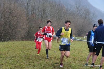 Clicca per vedere l'immagine alla massima grandezza