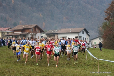 Clicca per vedere l'immagine alla massima grandezza