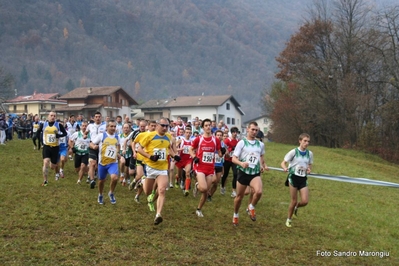 Clicca per vedere l'immagine alla massima grandezza