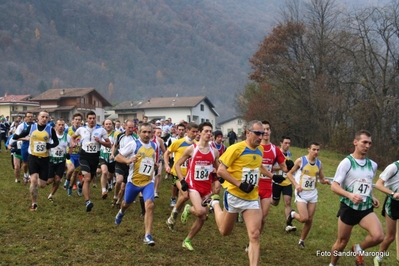 Clicca per vedere l'immagine alla massima grandezza