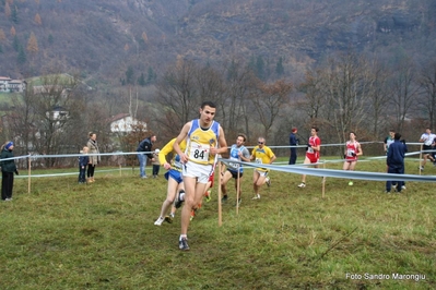 Clicca per vedere l'immagine alla massima grandezza