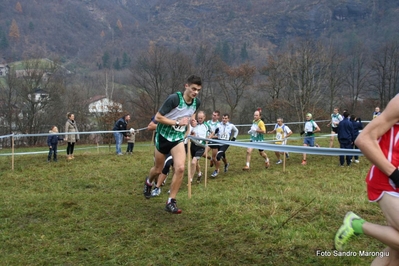 Clicca per vedere l'immagine alla massima grandezza