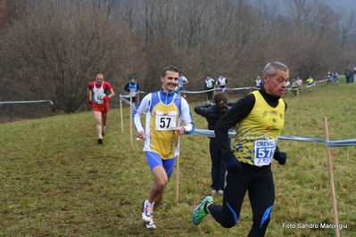 Clicca per vedere l'immagine alla massima grandezza