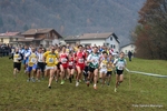 Nome del file=Immagine_2223.jpg
Dimensione del file=138KiB
Dimensioni=1024x683
Aggiunta il=26 Nov 2012 Immagine_2223.jpg