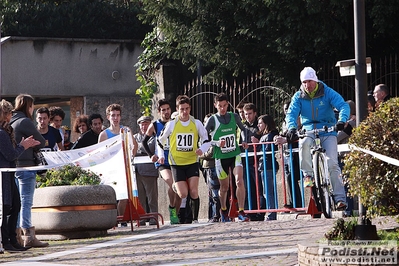 Clicca per vedere l'immagine alla massima grandezza