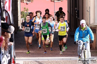 Clicca per vedere l'immagine alla massima grandezza