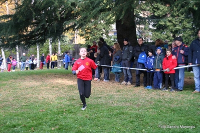 Clicca per vedere l'immagine alla massima grandezza