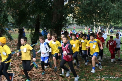 Clicca per vedere l'immagine alla massima grandezza