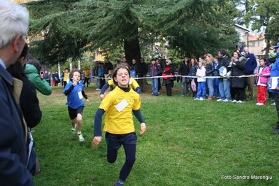 Clicca per vedere l'immagine alla massima grandezza