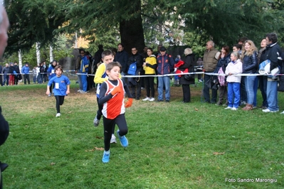 Clicca per vedere l'immagine alla massima grandezza