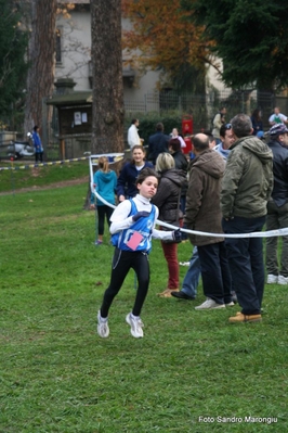 Clicca per vedere l'immagine alla massima grandezza