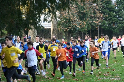 Clicca per vedere l'immagine alla massima grandezza