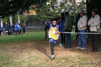 Clicca per vedere l'immagine alla massima grandezza