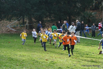 Clicca per vedere l'immagine alla massima grandezza