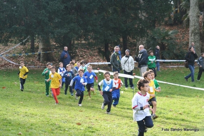 Clicca per vedere l'immagine alla massima grandezza