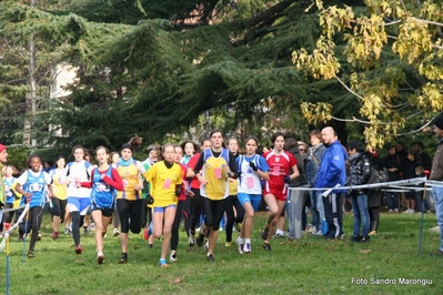 Clicca per vedere l'immagine alla massima grandezza