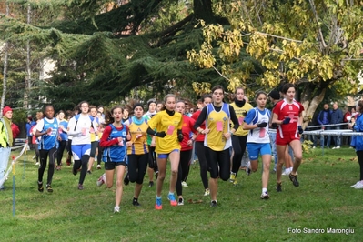 Clicca per vedere l'immagine alla massima grandezza