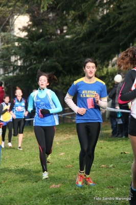 Clicca per vedere l'immagine alla massima grandezza