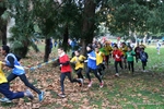 Nome del file=uro_1655.jpg
Dimensione del file=178KiB
Dimensioni=1016x678
Aggiunta il=19 Nov 2012 uro_1655.jpg