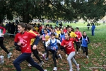 uro_1707.jpg