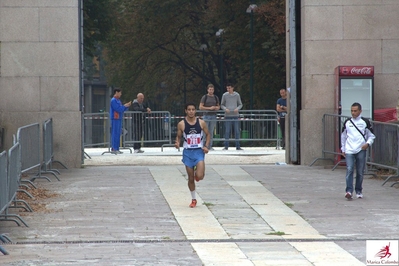 Clicca per vedere l'immagine alla massima grandezza
