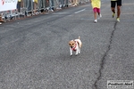 15_09_2012_vigilia_MDM_e_AIDS_Running_in_Music_foto_Roberto_Mandelli_0858.jpg