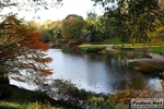 New_York_Marathon_2012_foto_Roberto_Mandelli_0132.jpg