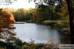 New_York_Marathon_2012_foto_Roberto_Mandelli_0133.jpg