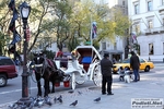 New_York_Marathon_2012_foto_Roberto_Mandelli_1870.jpg