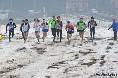 Clicca per vedere l'immagine alla massima grandezza