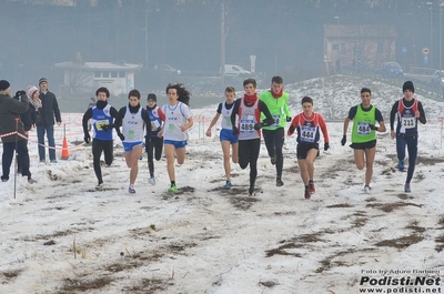 Clicca per vedere l'immagine alla massima grandezza