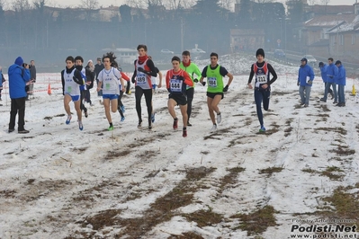 Clicca per vedere l'immagine alla massima grandezza