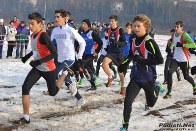 Clicca per vedere l'immagine alla massima grandezza