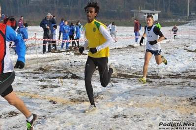 Clicca per vedere l'immagine alla massima grandezza