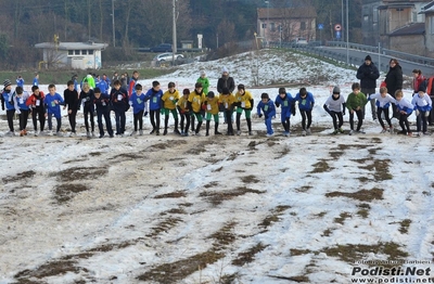 Clicca per vedere l'immagine alla massima grandezza