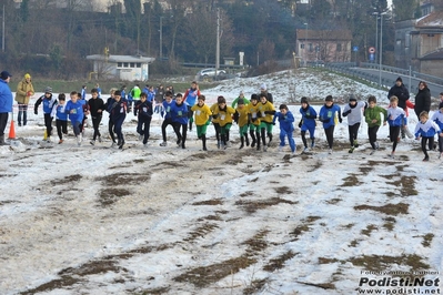 Clicca per vedere l'immagine alla massima grandezza