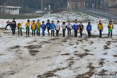 Clicca per vedere l'immagine alla massima grandezza