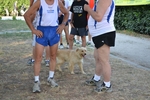 DSC_0152.jpg