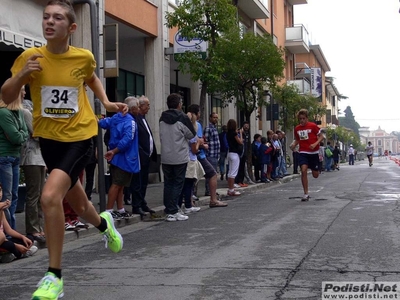 Clicca per vedere l'immagine alla massima grandezza