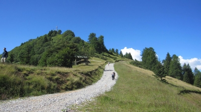 Clicca per vedere l'immagine alla massima grandezza
