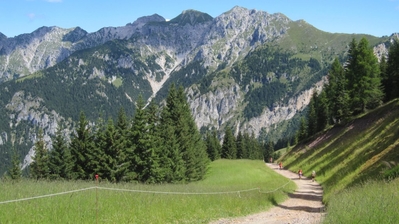 Clicca per vedere l'immagine alla massima grandezza