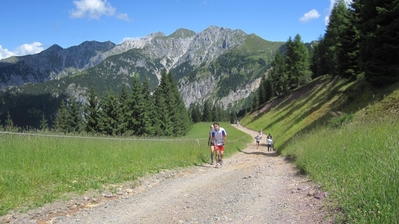 Clicca per vedere l'immagine alla massima grandezza