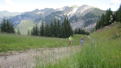 Clicca per vedere l'immagine alla massima grandezza